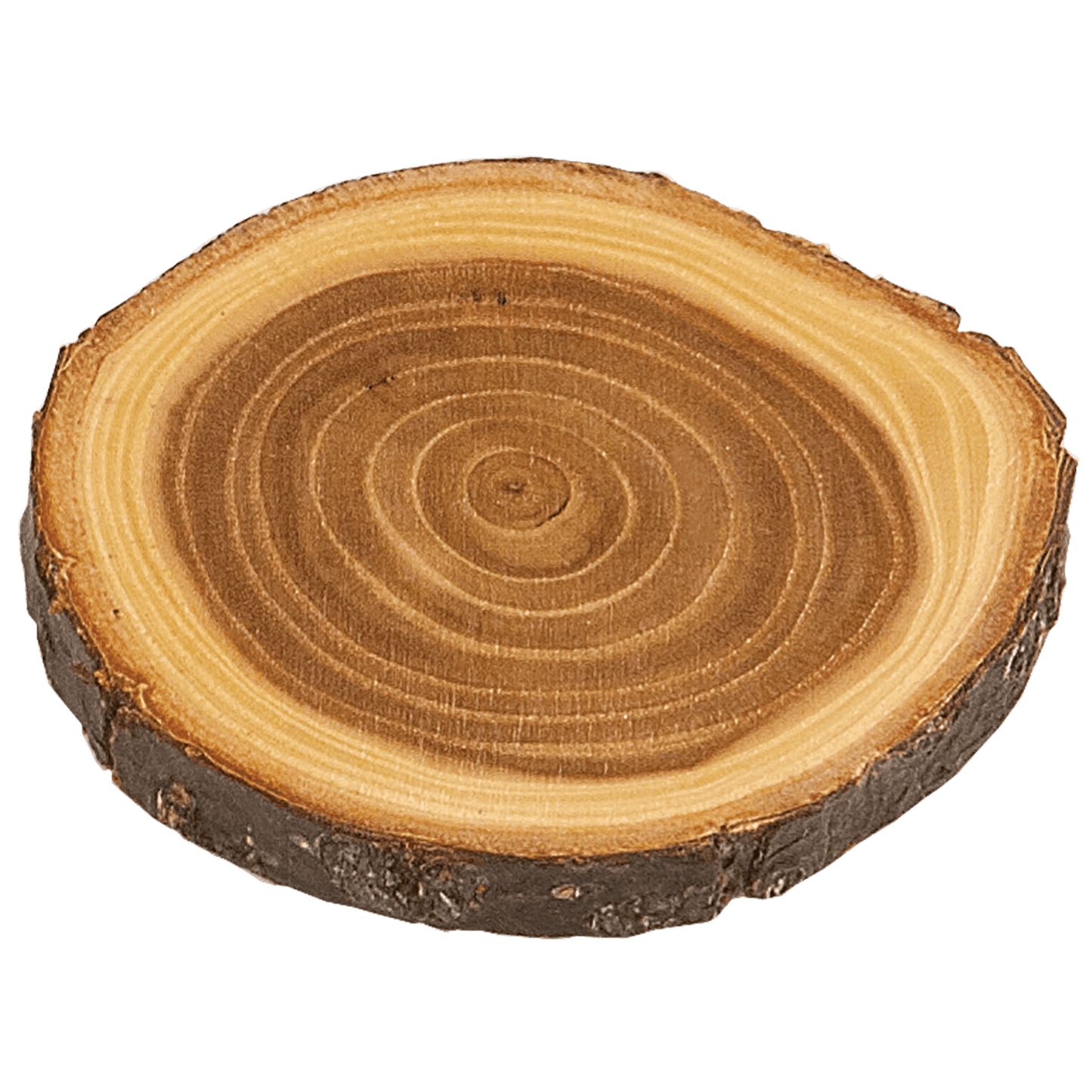 SKU: WLC04 - 4" Old West Log Elmwood Coaster
